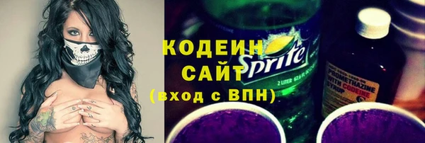 прущие грибы Няндома