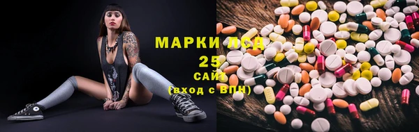 прущие грибы Няндома