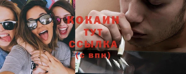 прущие грибы Няндома