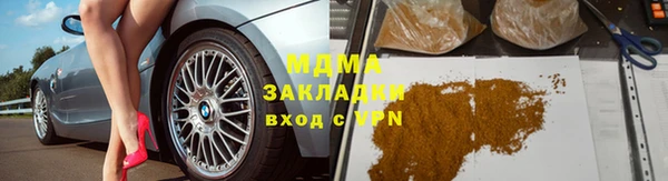 прущие грибы Няндома