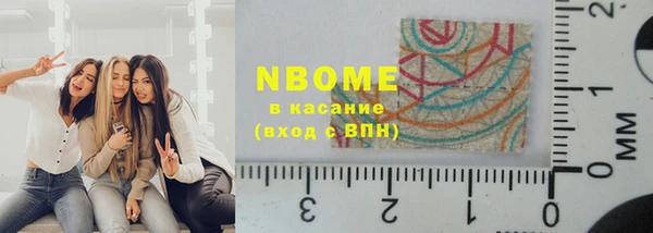 прущие грибы Няндома