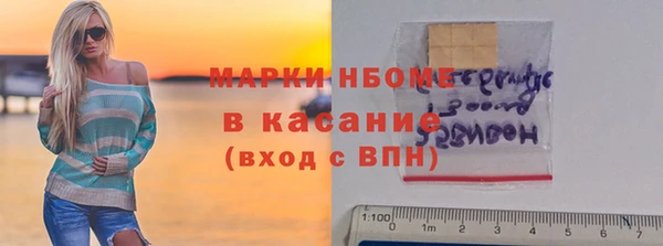 прущие грибы Няндома