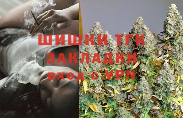прущие грибы Няндома