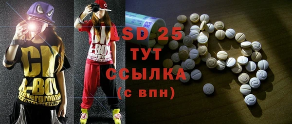 дживик Билибино