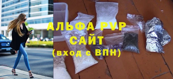 прущие грибы Няндома