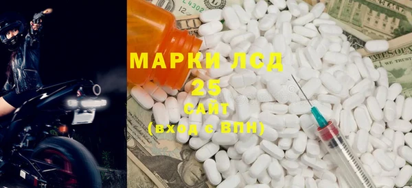 прущие грибы Няндома